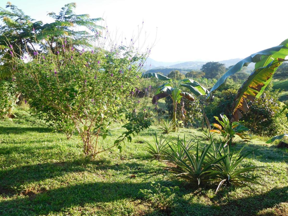 Hostal Casa Las Lajas ラス・ラハス エクステリア 写真